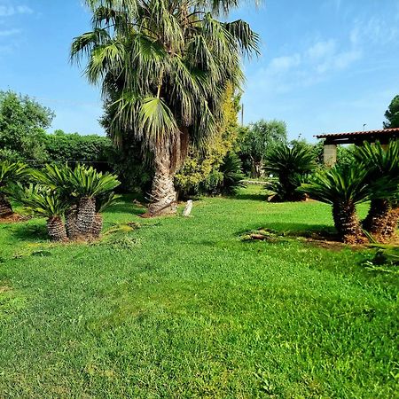 B&B Rosa Podere 28 Palagianello Dış mekan fotoğraf