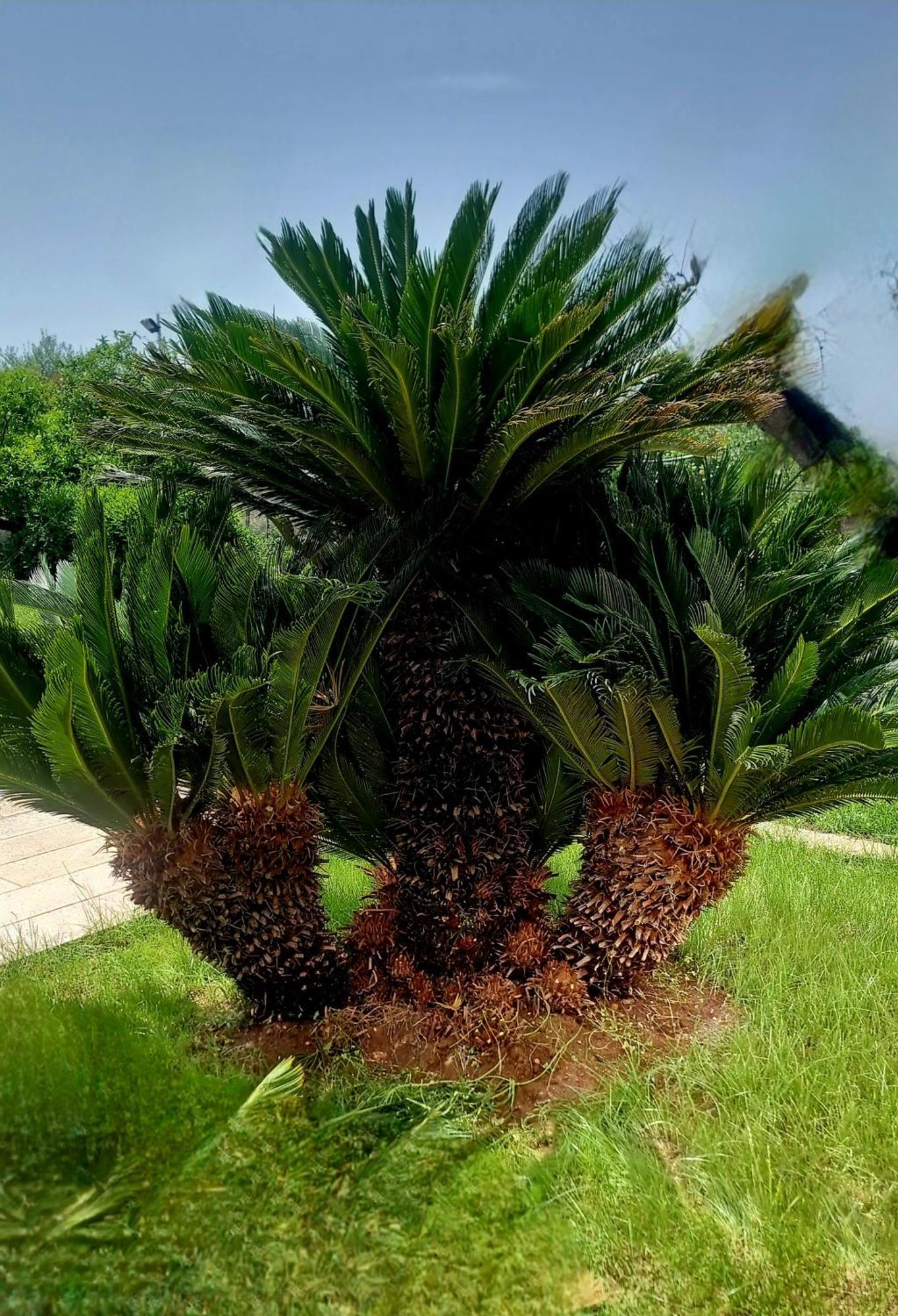 B&B Rosa Podere 28 Palagianello Dış mekan fotoğraf