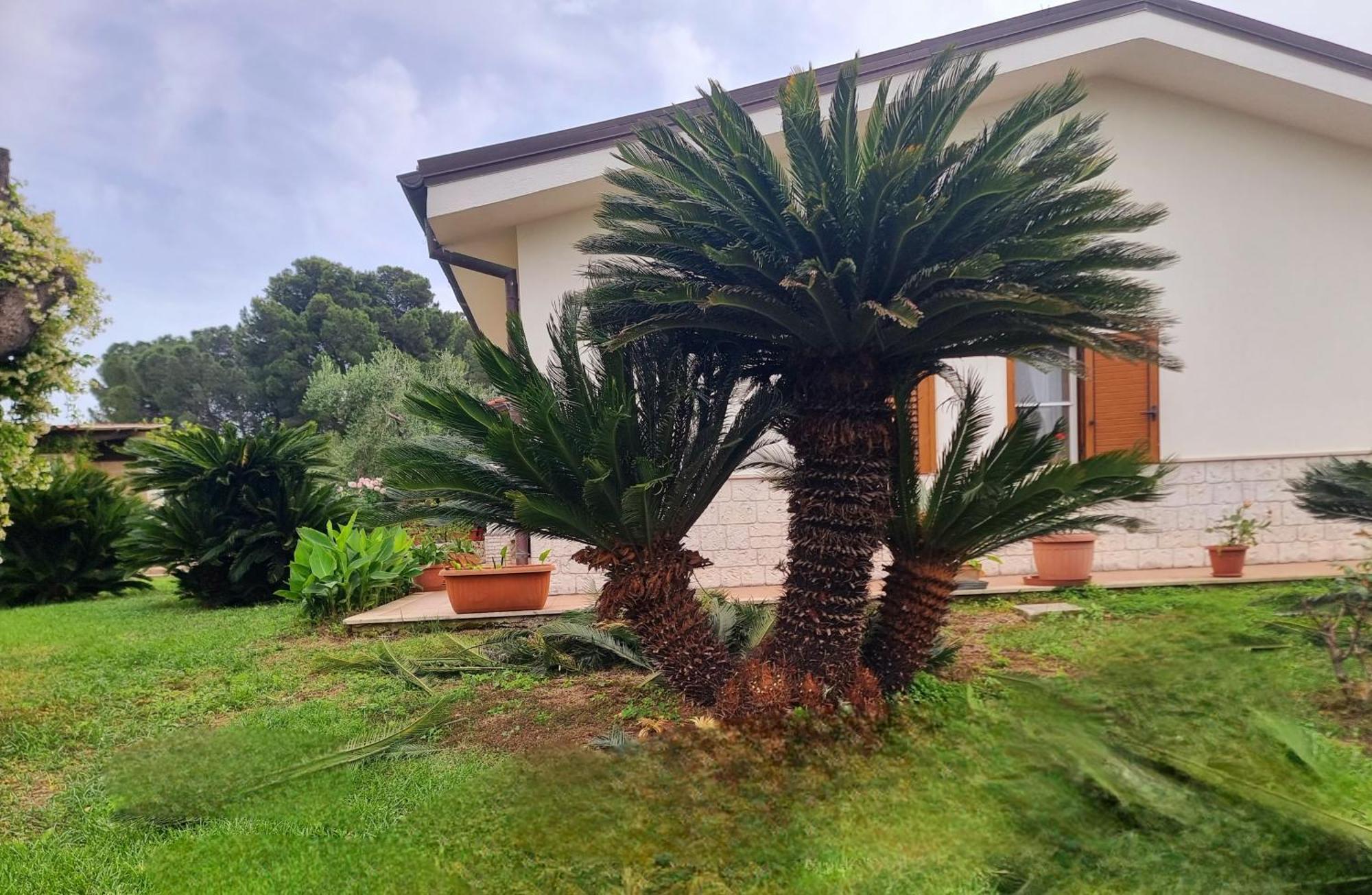 B&B Rosa Podere 28 Palagianello Dış mekan fotoğraf